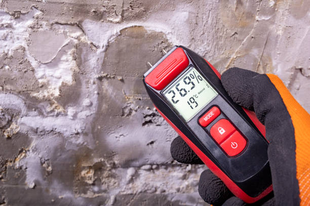 Best Mold Remediation for Schools in North Granby, CT