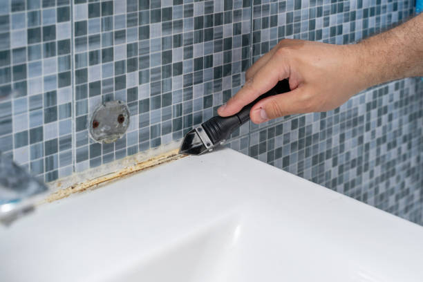 Best Bathroom Mold Remediation in North Granby, CT