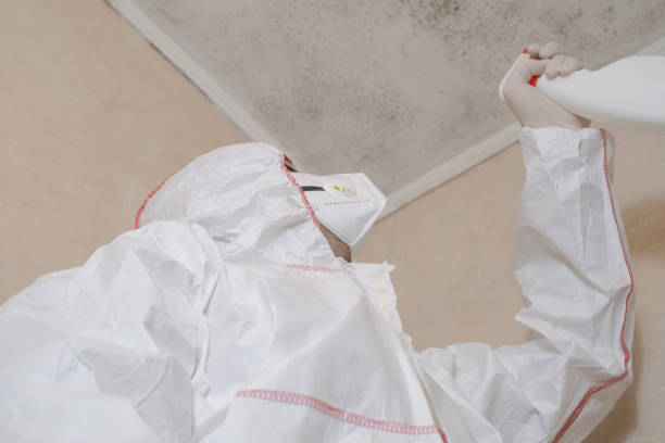 Best Residential Mold Remediation in North Granby, CT