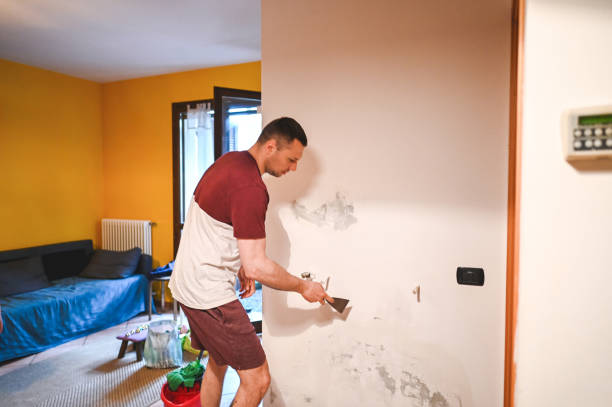 Best DIY Mold Remediation Support Services in North Granby, CT